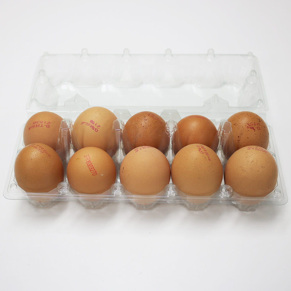 10 Transparent Egg Package Jumbo