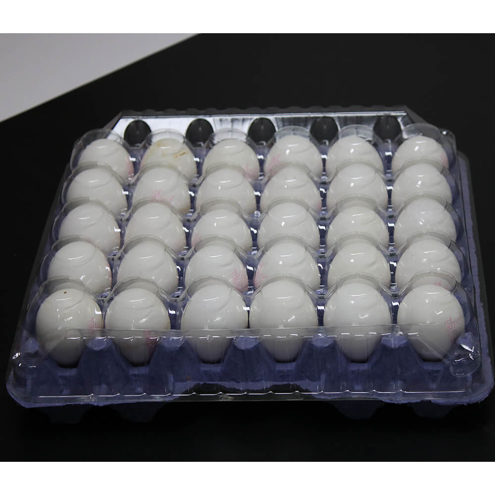 30 Transparent Egg Package