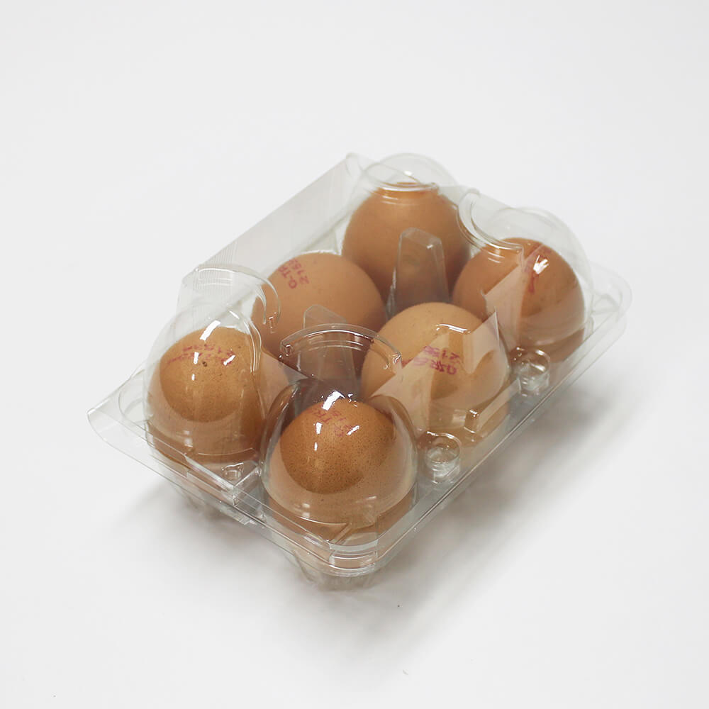 6 Transparent Egg Package